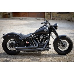 Harley Davidson Softail...